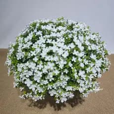 Kit/3 Plantas Matinho de Florzinha Artificial Floral Folhagem P/ Decoração Casamento, Arranjos, Decorar Festas mato e planta verde