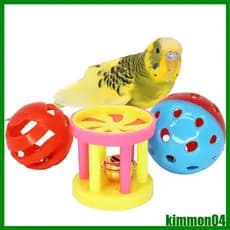 Conjunto 3 Peças Brinquedos Para Gaiola Pássaros kim Papagaio Calopsita Brinquedo Interessante Treinamento A