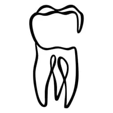 Quadro Decorativo Dente Minimalista Decoração Luxo Consultorio Dentista Sala Recepção Acrilico 3mm