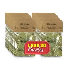 Chá de Manga Folhas Verdadeiro Mangifera Indica-kit C 20Pct