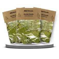 Kit 3 Chá de Açoita Cavalo-Legítimo Luehea divaricata