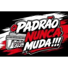 Bandeira  90x65 cm com 4 Ilhós  Qualidade para Caminhão,  O PADRÃO NUNCA MUDA