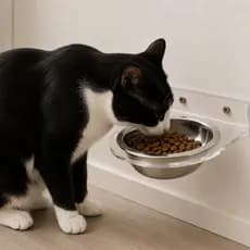 Comedouro Bebedouro com Tigela Inox Pet Cachorro Gato Suspenso