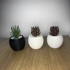 Kit com Três Vasinhos Vasos para Suculentas Preto Branco Decorativo Moderno Minimalista