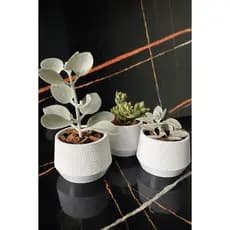 Kit 3 Vasos moderno Mini Decorativo Mini Suculentas Decoração Sala Escritório