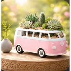 Vaso Kombi Decorativo para Suculentas | Mini Jardim | Decoração Criativa | 2 Tamanhos