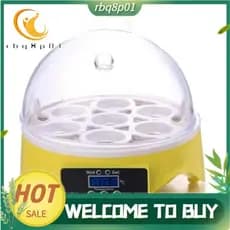 Incubadora De Ovos Chocadeira Hatcher US Plug