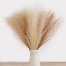 Kit Hastes Capim Do Pampas Plumas Artificial Galhos 55cm