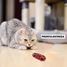 JOANINHA Besouro cor Vermelho brinquedo interativo Gato cão Pet 01 bateria Brincar Sozinho Animais