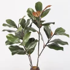 Planta De Magnólia Artificial DAIGA , Folhas De Borracha , Grande Ramo De Árvore Simulado , Plantas Artificiais De 110 C