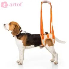 ARTOF Arnês de Suporte para Cães Idosos e Lesões Ajustável Respirável com Alça para Pernas Traseiras Portátil