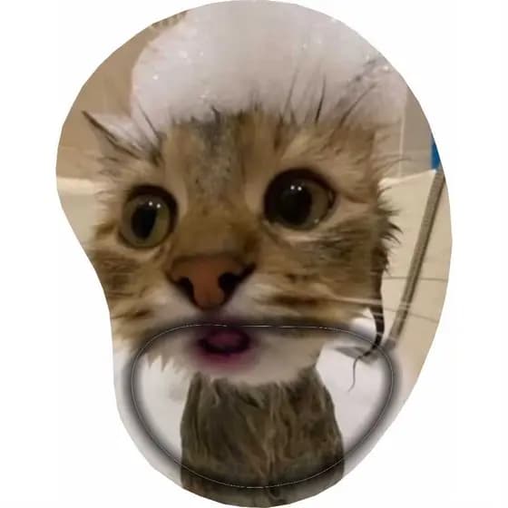 Mouse Pad Gatinhos Memes