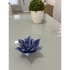 Flor Decoração para sua casa