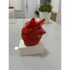 Coração de decoração medicina medico medica enfeite para casa e escritório