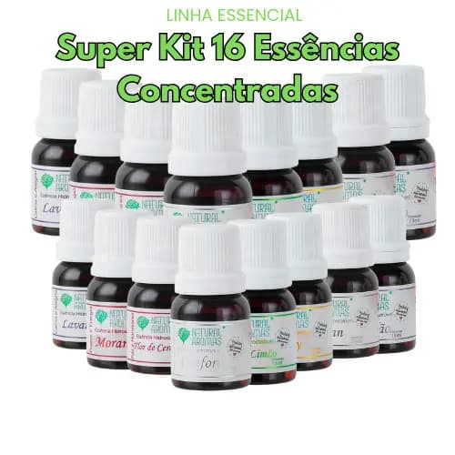 Kit 16 Essências variadas Linha Essencial para Difusor – Natural Aromas