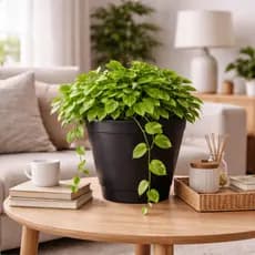 Kit Vaso 3 Litros Preto Para Mudas Plantas Flores E Jardim