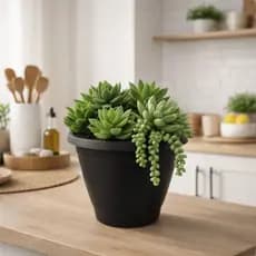 Vaso Plástico 700ml Para Plantas Pequenas Flores E Decoração