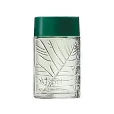 Perfume Arbo Masculino Refrescante 100ml O Toque da Natureza