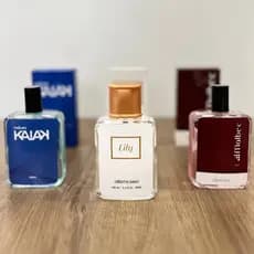 Perfume Masculino e Feminino 100mI para o dia dia / alta fixação e longa duração presente