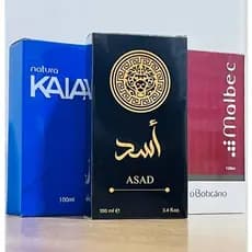 Kit 4 Perfumes Masculino Para o Dia Dia 100ml Longa Duração Presente Frasco em Vidro