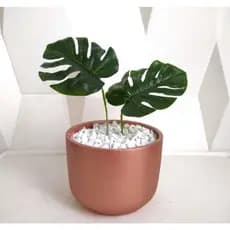 Vaso De Planta Decorativo Montado Completo Rosé Gold Decoração