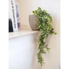 Vaso Grande Cimento Queimado Com Folhagem Pendente - Planta Caída