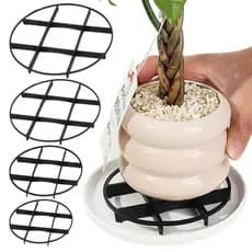Suporte Para Vaso De Flores NARCISSUS , Rack De Drenagem Redondo Plantadores De Raiz Anti-Podrecimento , Pires De Planta