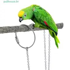 PULLHOUSE Periquito Pé Corrente Calopsita Pombo Voando Treinamento Prata Com Fivela Giratória Suporte Para Pássaros Torn