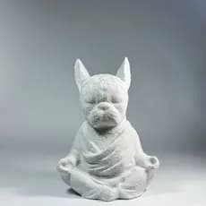 Estatueta BudaDog Zen Bulldog Meditativo 15cm