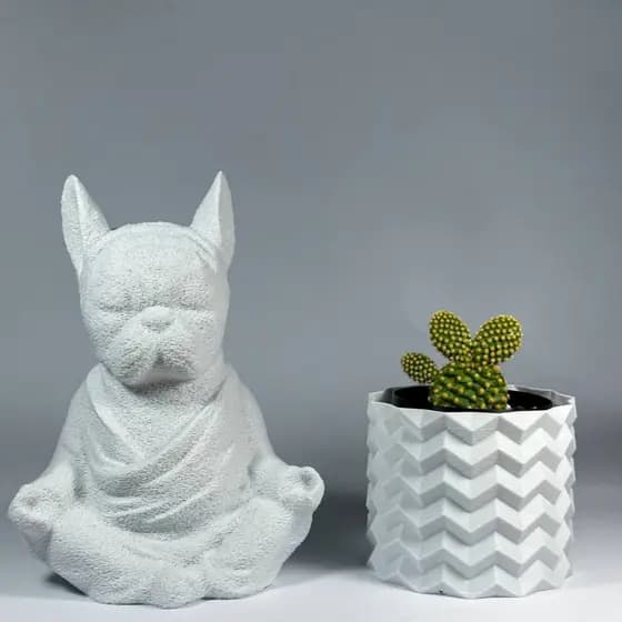 Kit BudaDog Zen + Vaso Diamante