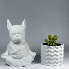 Kit BudaDog Zen + Vaso Diamante