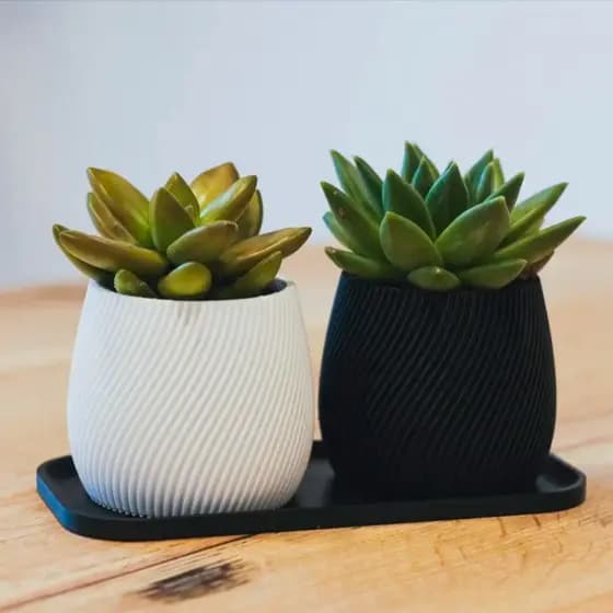 Par de Jarros Elegance Texturizados com Prato 💚