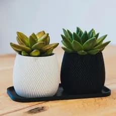 Par de Jarros Elegance Texturizados com Prato 💚