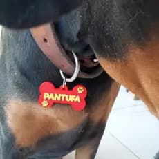 Placa de identificação personalizado para cachorro - Pingente de identificação - Pingente para Cachorro - Plaquinha para coleira - Impressão 3D