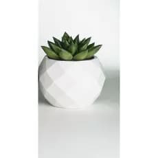 Vaso Decorativo Geométrico Suculenta