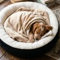 Manta Mantinha pet de Microfibra para Inverno super Quentinha e Confortável