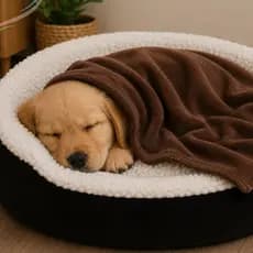 Manta Mantinha Pet quentinha de Microfibra para o frio super confortável