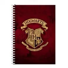 Caderno Harry Potter 80 folhas