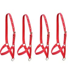 4 unidades cabresto de bezerro vermelho regulavel direto de fabrica menor preço envio rapido