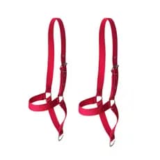 Kit Dois Cabresto Fita De Nylon Bezerro, Bode e Vaca Envio Imediato