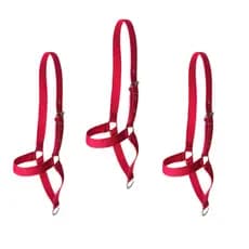 kit 3 cabrestos de bode, bezerro e vaca produzidos em fita de nylon regulável