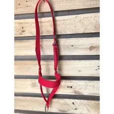 Cabresto De Fita Nylon Regulavel Para Bezerros/Bode/Bezerro Envio Imediato