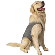 Roupa pós cirúrgica para cachorro macho fêmea TAM 00 ao 15 Pet Designer