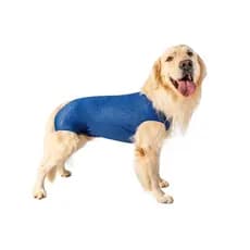 Roupa pós cirúrgica para castração de cachorros machos - TAM 00 a 15