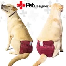 Fralda Calcinha Reutilizável para Cães - Conforto e Proteção| Ideal para Incontinência, Cio e Treino