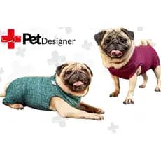Roupa Pós Cirúrgica Raças Especiais - Pug Bulldog Francês Inglês - Tam 1 a 5