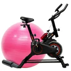 Bicicleta ergometrica Bike Spinning + Bola Suiça Pilates Yoga  Ginástica 65cm Fitness Treino Em Casa