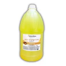 Shampoo Argan E D'Pantenol Galão 5 Litros Lavatório Salão De Beleza Sem Sal Profissional Brilho Intenso