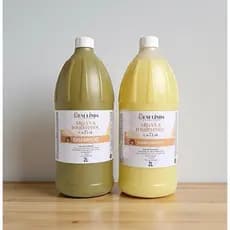 Kit Argan+D’Pantenol 2 litros - alto rendimento + nutrição + cronograma capilar Brilho Intenso