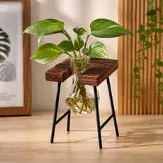 Vaso de Vidro com Base de Madeira Planta Hidropônica Decoração Sala Escritório Quarto